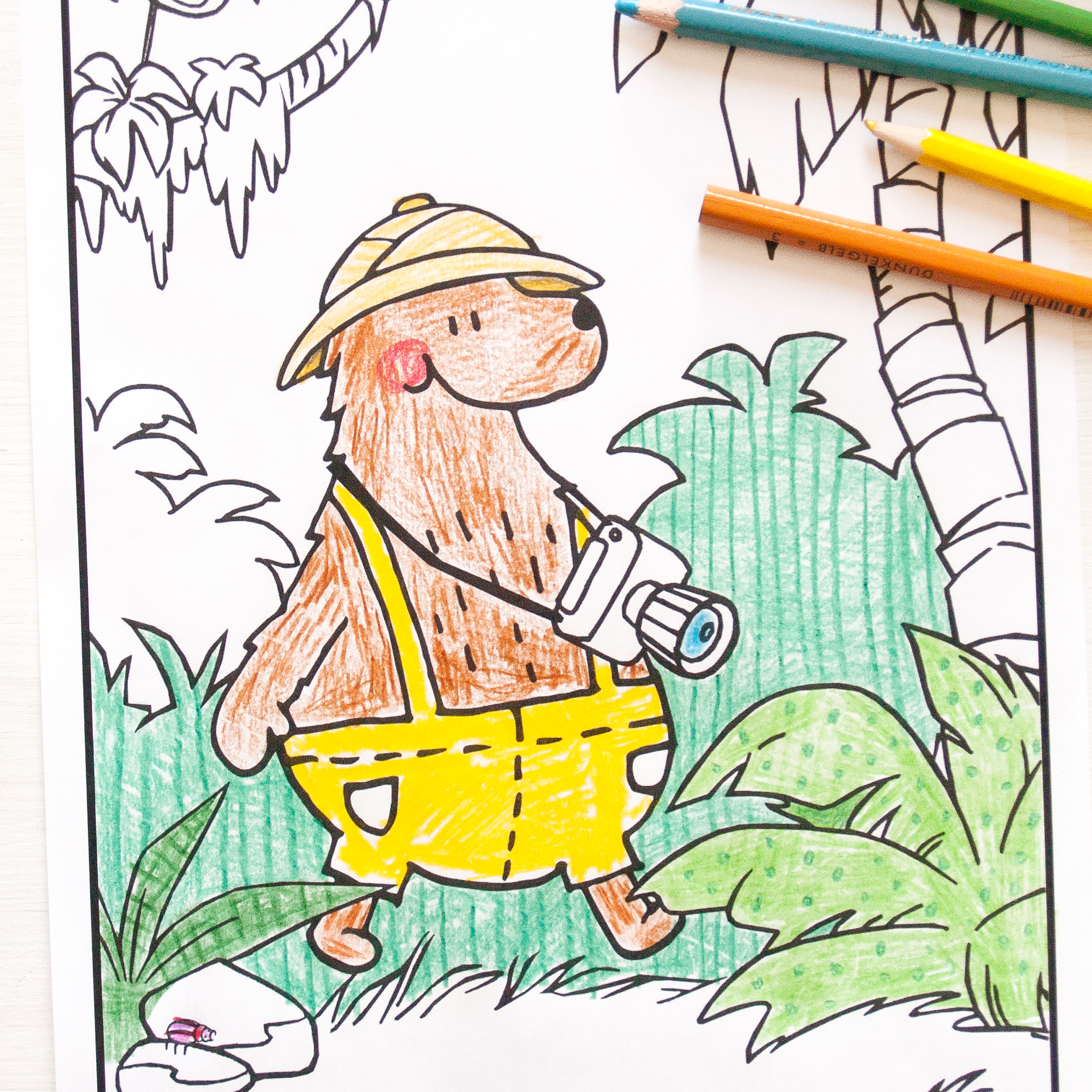 Ausmalbild - Buntiquebär auf Safari – Bild 5