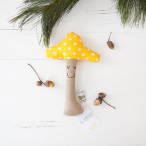 Rassel - Eierschwammerl Pilz