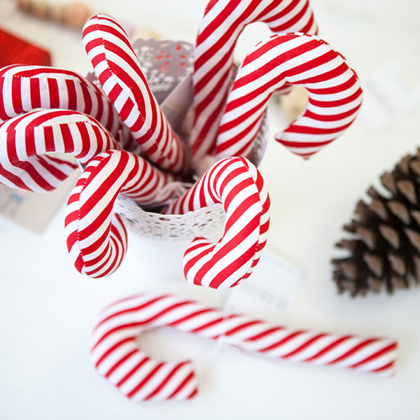 Greifling Zuckerstange – Bild 3